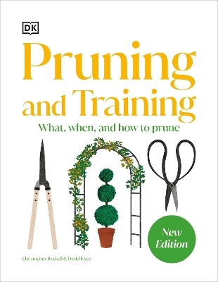 Pruning and Training -  Dk
