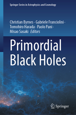 Primordial Black Holes