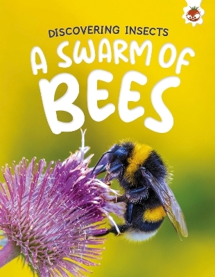 Discovering Insects: A Swarm of Bees