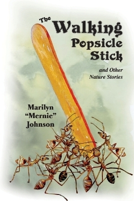 The Walking Popsicle Stick