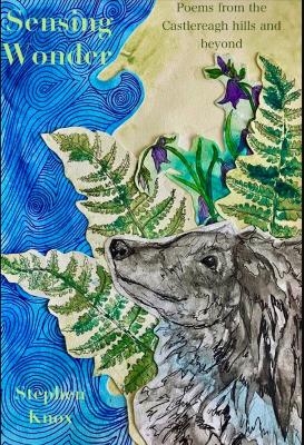 SENSING WONDER - Stephen Knox