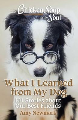 Chicken Soup for the Soul: What I Learned from My Dog - Amy Newmark
