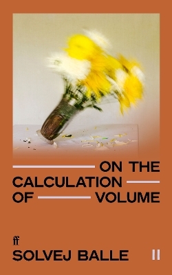 On the Calculation of Volume II - Solvej Balle