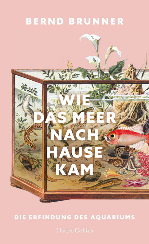 Wie das Meer nach Hause kam - Bernd Brunner