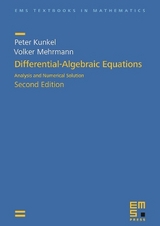 Differential-Algebraic Equations - Peter Kunkel, Volker Mehrmann