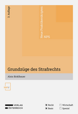 Grundz&uuml;ge des Strafrechts - Alois Birklbauer
