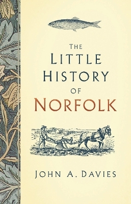 The Little History of Norfolk - John A. Davies
