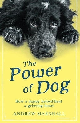 The The Power of Dog - Andrew Marshall