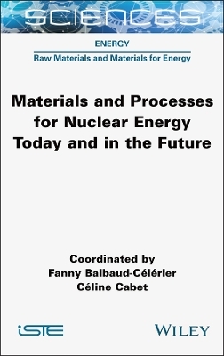 Materials and Processes for Nuclear Energy Today and in the Future