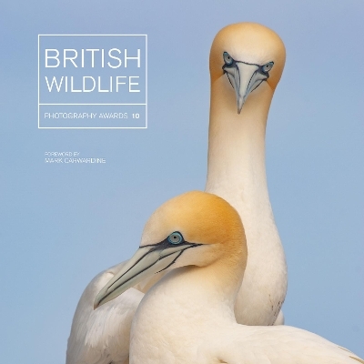 British Wildlife Photography Awards 10 - Maggie Gowan