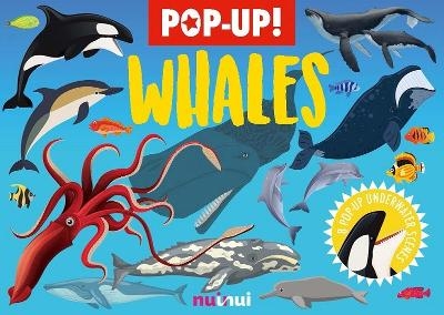Nature's Pop-Up: Whales And Dolphins