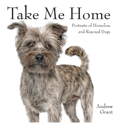 Take Me Home! - Andrew Grant