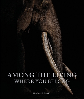 Among the Living - Guadalupe Laiz