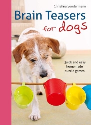 Brain teasers for dogs