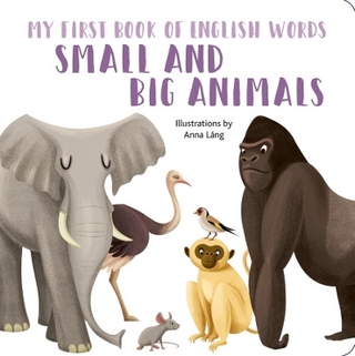 Small and Big Animals