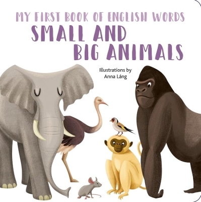Small and Big Animals