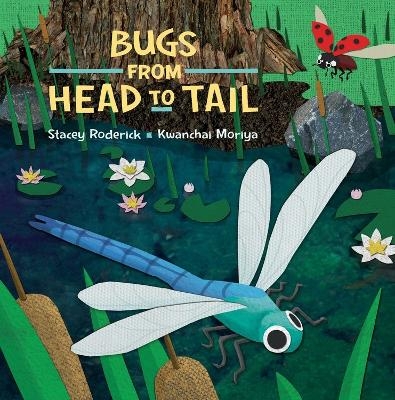 Bugs From Head to Tail - Stacey Roderick