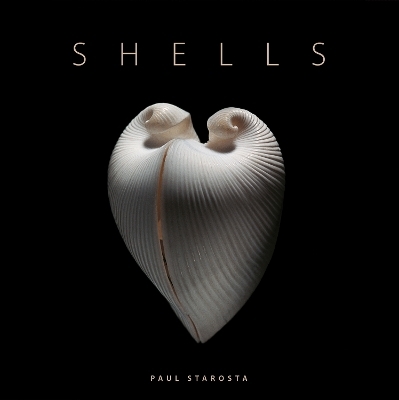 Shells - Paolo Portoghesi