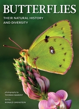 Butterflies: Their Natural History and Diversity - Orenstein, Ronald