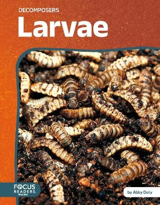 Larvae - Abby Doty
