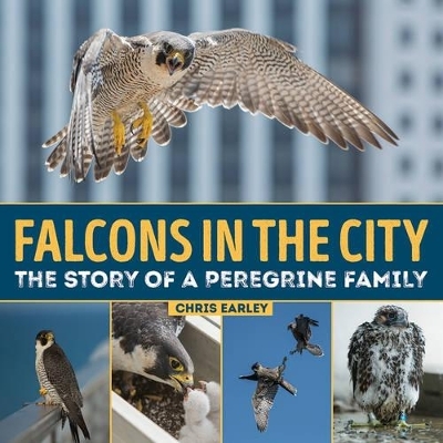Falcons in the City: The Story of a Peregine Family - Chris Earley