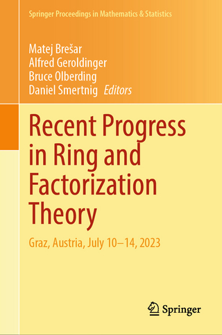 Recent Progress in Ring and Factorization Theory
