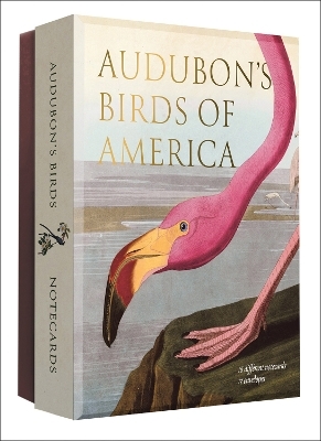Audubon's Birds of America - Notecard Set -  Editors of Abbeville Press
