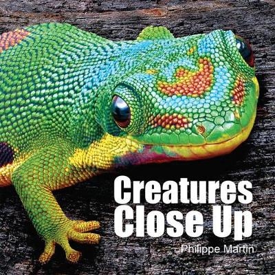 Creatures Close Up - Gillian Watts