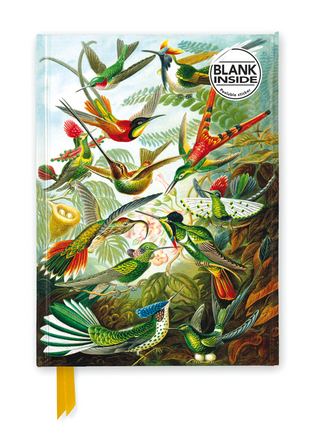 Ernst Haeckel: Hummingbirds (Foiled Blank Journal)