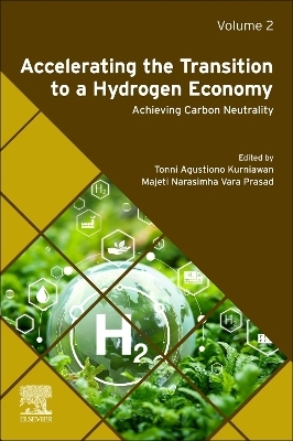 Accelerating the Transition to a Hydrogen Economy - 