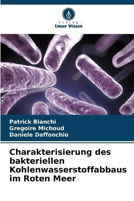 Charakterisierung des bakteriellen Kohlenwasserstoffabbaus im Roten Meer - Patrick Bianchi, Gregoire Michoud, Daniele Daffonchio