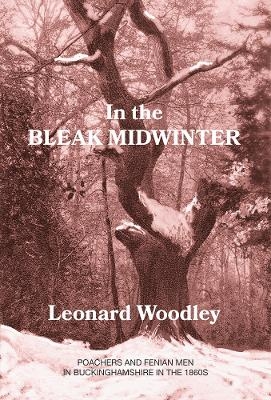 In the Bleak Mid-Winter