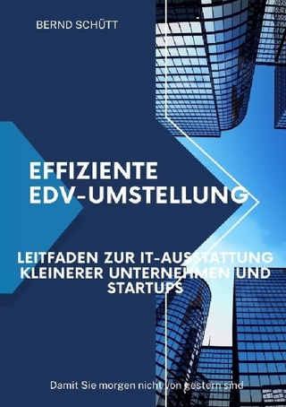Effiziente EDV-Umstellung