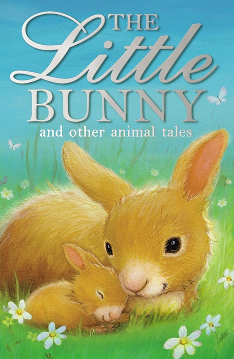 Little Bunny -  Various authors