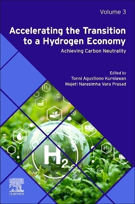 Accelerating the Transition to a Hydrogen Economy - 
