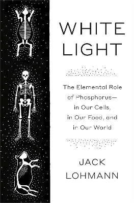 White Light - Jack Lohmann