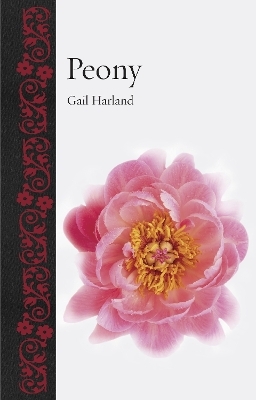 Peony - Gail Harland