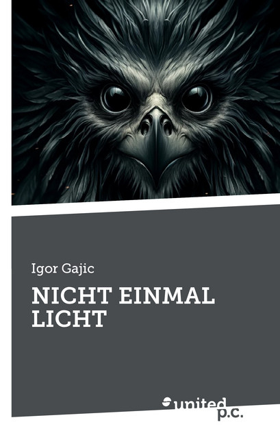 NICHT EINMAL LICHT - Igor Gajic
