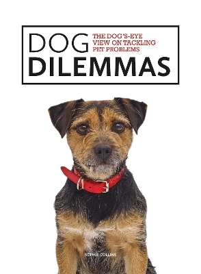 Dog Dilemmas: The Dog's-Eye View on Tackling Pet Problems