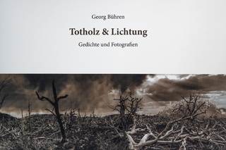 Totholz & Lichtung