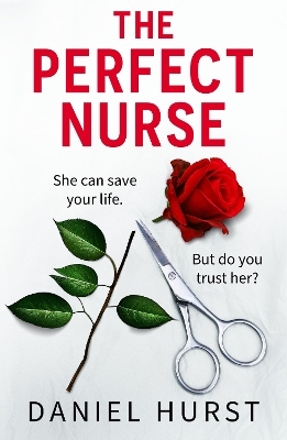 The Perfect Nurse - Daniel Hurst