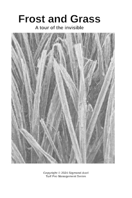 Frost and Grass - Sigmond Axel