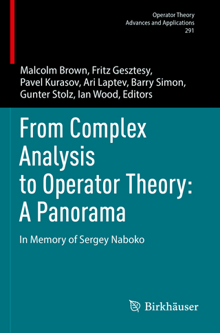 From Complex Analysis to Operator Theory: A Panorama
