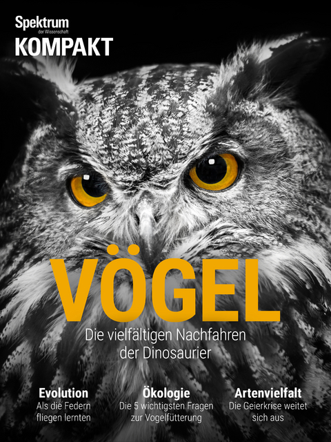 Spektrum Kompakt - V&ouml;gel