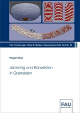 Jamming und Konvektion in Granulaten - Holger G&ouml;tz