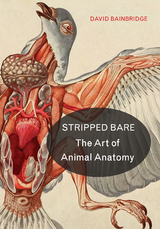 Stripped Bare - David Bainbridge