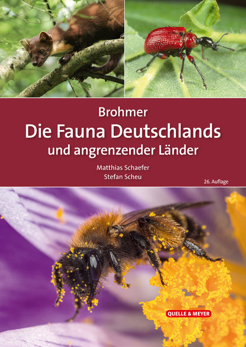 Brohmer &ndash; Die Fauna Deutschlands und angrenzender L&auml;nder - 