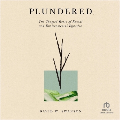 Plundered - David W Swanson