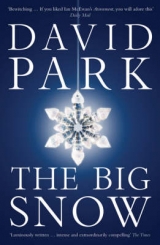 The Big Snow - Park, David