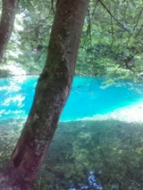 Der Wandel der Gesellschaft in der Zeit von 1900 bis 2018 - Maria Holzmann